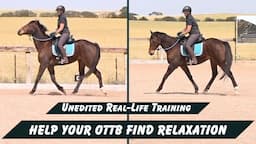 Helping Your OTTB Horse To Find Relaxation Under Saddle