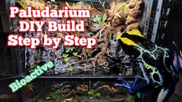 How To Build A Paludarium DIY In Depth Tutorial #paludarium #bioactive