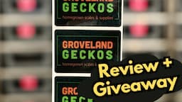 Massive Groveland Geckos Giveaway! Snake Hooks, Feeding Tongs, Reptile Hides, Water Bowls, and More!