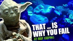 Revealed: The Top Reasons Why Reef Keeping is Failing and How to Fix It!