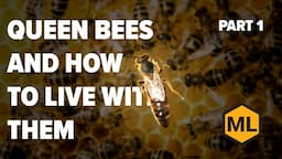 Queen Bees and How to Live With Them (Part 1): Class by Dr. Larry Connor