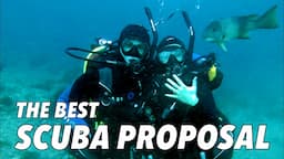 BEST PROPOSAL EVER! UNDERWATER ENGAGEMENT, SCUBA DIVING CATALINA