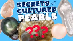 All About Cultured Pearls - Deep Dive with Pearl Expert!