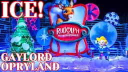 ICE! Featuring Rudolph The Red Nosed Reindeer At Gaylord Opryland Was Awesome! And Just 9 Degrees!