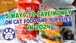 5 Ways To Save Money On Cat Food and Supplies in 2024 - S7 E15 - Lucky Ferals - Life With 11 Cats