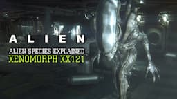 The Xenomorph XX121 - Alien Species Explained