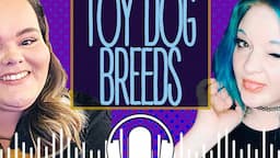 Let's Talk About Toy Dog Breeds!