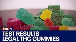 Testing legal THC gummies in Minnesota