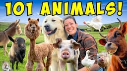 Morning Chores FARM TOUR! | Meet All My Animals!