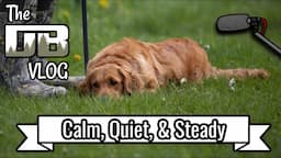 Developing Calm, Quiet, and Patient Dogs | Ep: #191