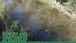 Illinois Bow and Spearfishing - Summer 2023 | Tex Grebner Outdoors