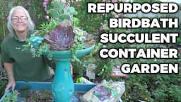 How To Repurpose A Birdbath Into A Beautiful Succulent Container Garden, DIY Upcycle Gardening Idea