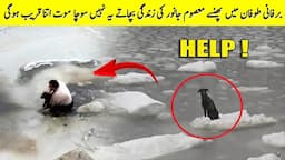 انسان کے روپ میں فرشتے  | Incredible Cases Of Luck And Rescue Of Animals In Difficult Situations