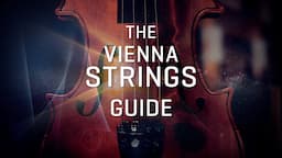 The Ultimate Overview of All Vienna Strings