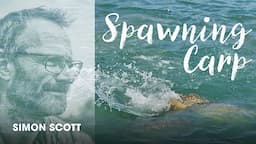 The Truth Behind Spawning Carp - Simon Scott