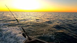 BARNHILL beachside station, fishing MECCA & stalked by SHARK