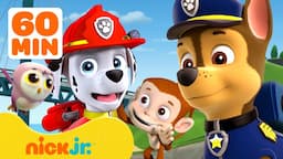 PAW Patrol Baby Animals Rescues & Adventures! w/ Marshall and Chase #2 🐵 90 Minutes | Nick Jr.