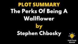 Plot Summary Of The Perks Of Being A Wallflower By Stephen Chbosky. -  Perks Of Being A Wallflower