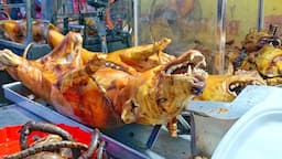 Grateful to the chefs who brought dog meat cuisine to the world-Travel thirsty Vietnam