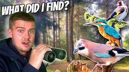 Bird Watching in a HUGE Forest!