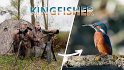 Photographing & Filming Kingfishers | Gear Explained | Wildlife Photography