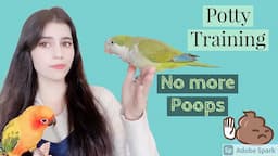 How To Potty Train Your Bird