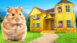 I Built A $100,000 Golden Hamster House