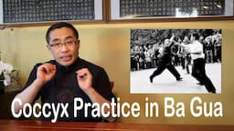 Internal Style Concepts (71): Coccyx Practice in Ba Gua