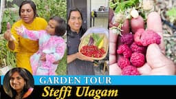 Home Garden Tour in Tamil | Garden Tour - 2021 Steffi Ulagam