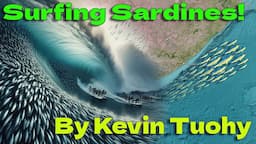 Surfing Sardines! By Kevin Tuohy