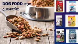 Dog Food ගැන නොදැන අමාරුවේ වැටෙන්න එපා(my pet)