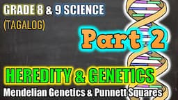 Genetics & Heredity / Punnett Squares - Gr 8 & 9 (Part 2 - Tagalog)