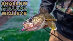 Pitching hair jigs for spring cold-front walleye