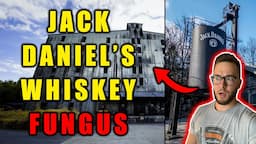 Jack Daniel's Being SUED for Whiskey Fungus | What Is Going On In Lynchburg?!