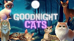 Goodnight Cats🐾🌙 Soothing Bedtime Story for Babies and Toddlers with Calming Melodies