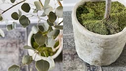 Amazing FAUX TREE DIY & Stone Planter // Bedroom Home Decor Ideas