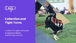 FREE Dog Agility Webinar:  Collection and Tight Turns