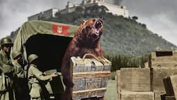 How a bear went to war and became a soldier