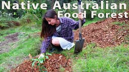 Planting the Native Australian Food Forest on our homestead