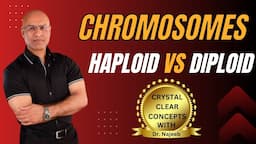 Basics of Chromatids | Haploid vs Diploid Chromosomes🦠