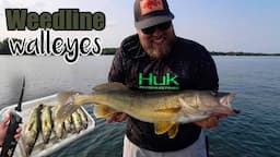 Limiting-out on summertime walleyes