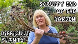 The Scruffy End of my Garden || Difficult Plants