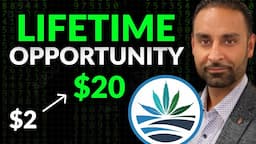 Why I Own High Tide Shares (HITI Stock Analysis) – BEST Cannabis Company EVER 🔥