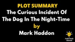 Plot Summary Of The Curious Incident Of The Dog In The Night-Time By Mark Haddon