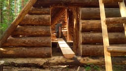 A MAN BUILDS A LARGE LOG CABIN ALONE. THE FLOOR IS MADE OF PINE BOARDS.