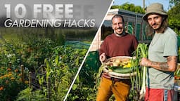 10 amazing FREE gardening hacks you wish you knew before