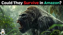 What if Gorillas Were Introduced Into the Amazonian Rainforest?