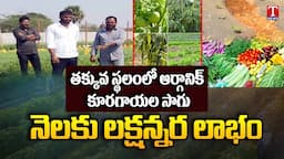 Vegetables & Green Leaves Organic  Farming - One and Half Lack Profit in Limited Place by Ganesh