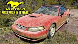 First Wash in 12 Years: ABANDONED Ford Mustang! | Car Detailing Restoration