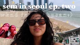 sem in seoul ep two | train to busan:)